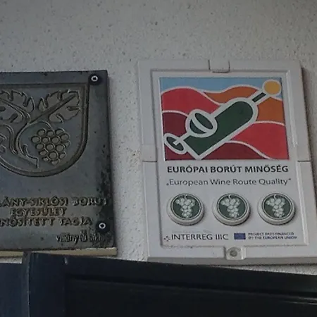 Casa de hóspedes Solt Panzio