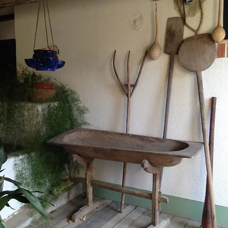 Casa de hóspedes Solt Panzio